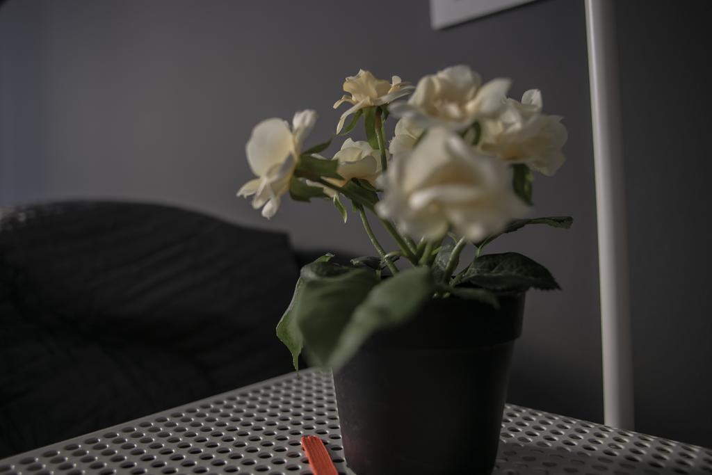 Apartamento Cittadella 12